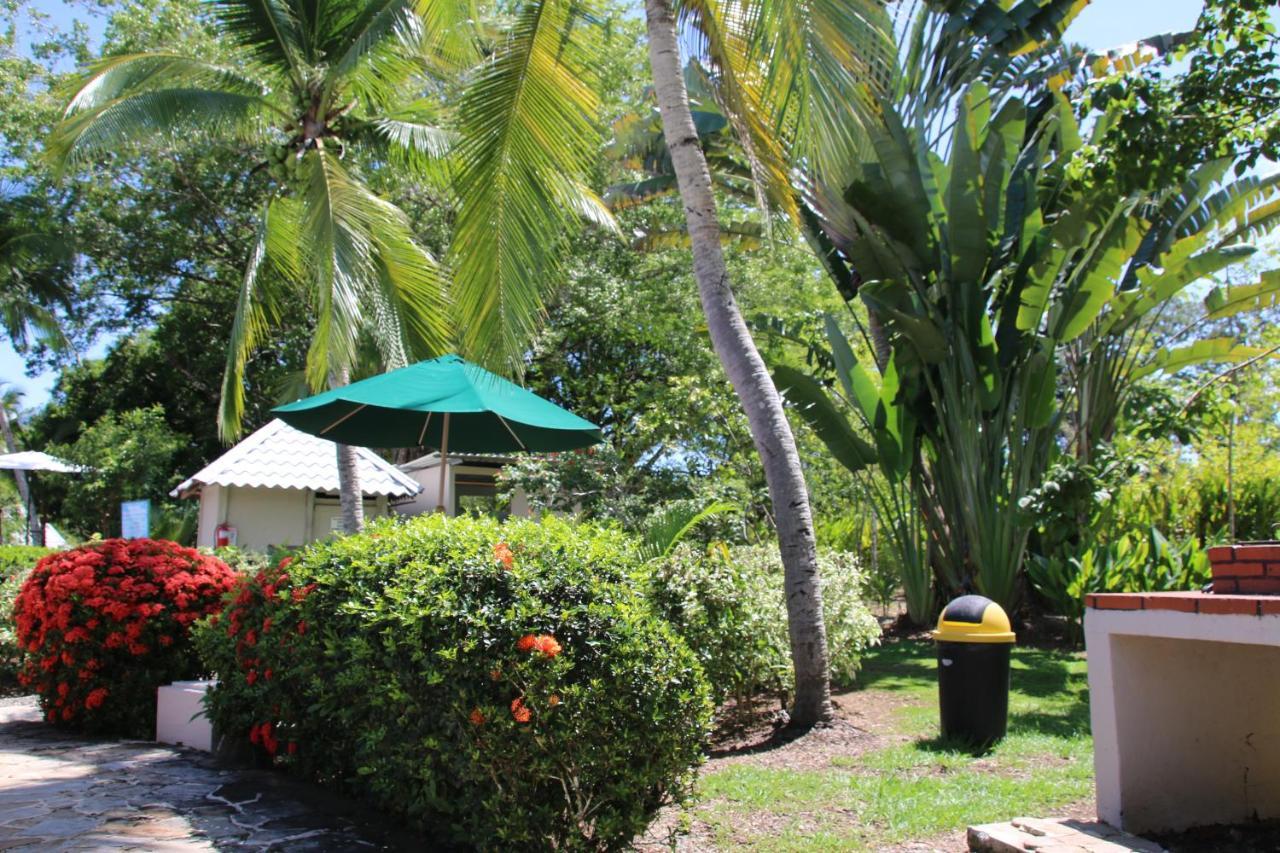 شقة Tropical Bliss Pool Wi-Fi Bbq Near Quepos Manuel Antonio المظهر الخارجي الصورة